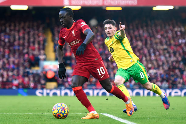 了新鲜血液 了新鲜血液