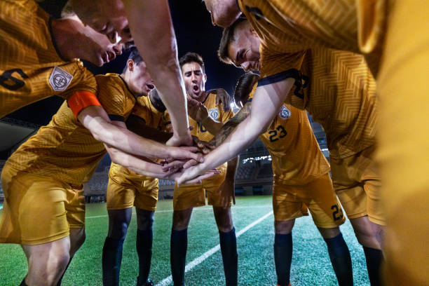 优势的韧性 优势的韧性